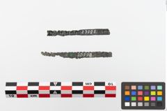 Foto von Bronzeblechstreifen (NHMW-PRAE-023798)
